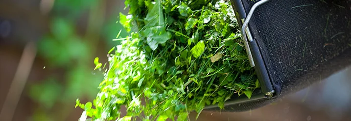 Rasenschnitt aus Grasfangkorb